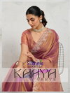 Kaaya Verve By Sethnic Lifestyle Chiffon Velvet Party Wear Saree Wholesale Online
